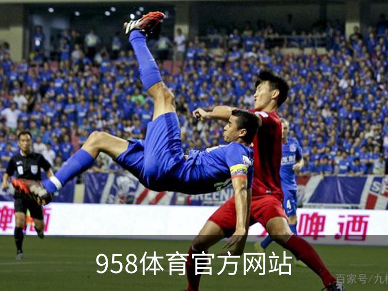 958体育官方网站概况