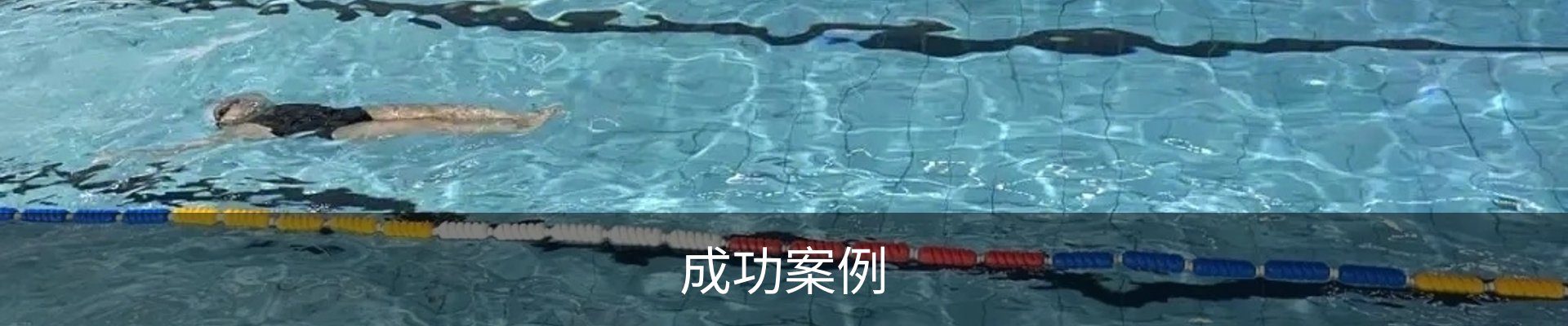 成功案例